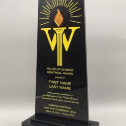 Custom Elegant Black and Gold Acrylic Award Trophy - Add your logo - Optional 3D gold mirror cutout